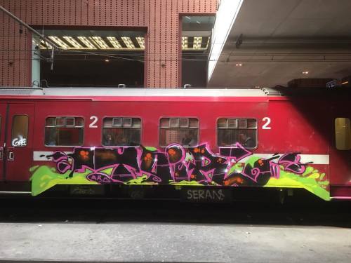 paintedtrains:  #belgiumgraffiti #paintedtrains #traingraffiti #graffititrain #benching #bombing #pa