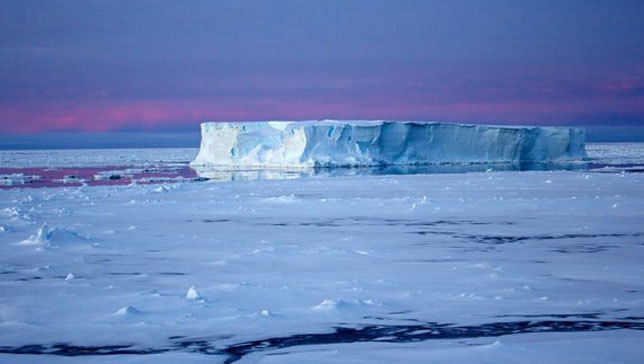 Is Antarctica getting icier? New study sparks debate
The controversy around the amount of sea ice is due to the dataset that scientists have used for the past few years as their baseline possibly being wrong.