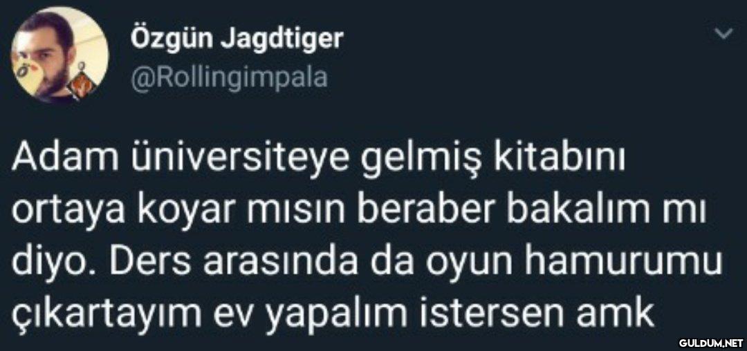 Özgün Jagdtiger...