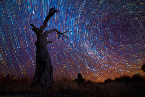 Stars Bursting In The Night SkyAustralian photographer Lincoln Harris collection ‘Star trails’, surr