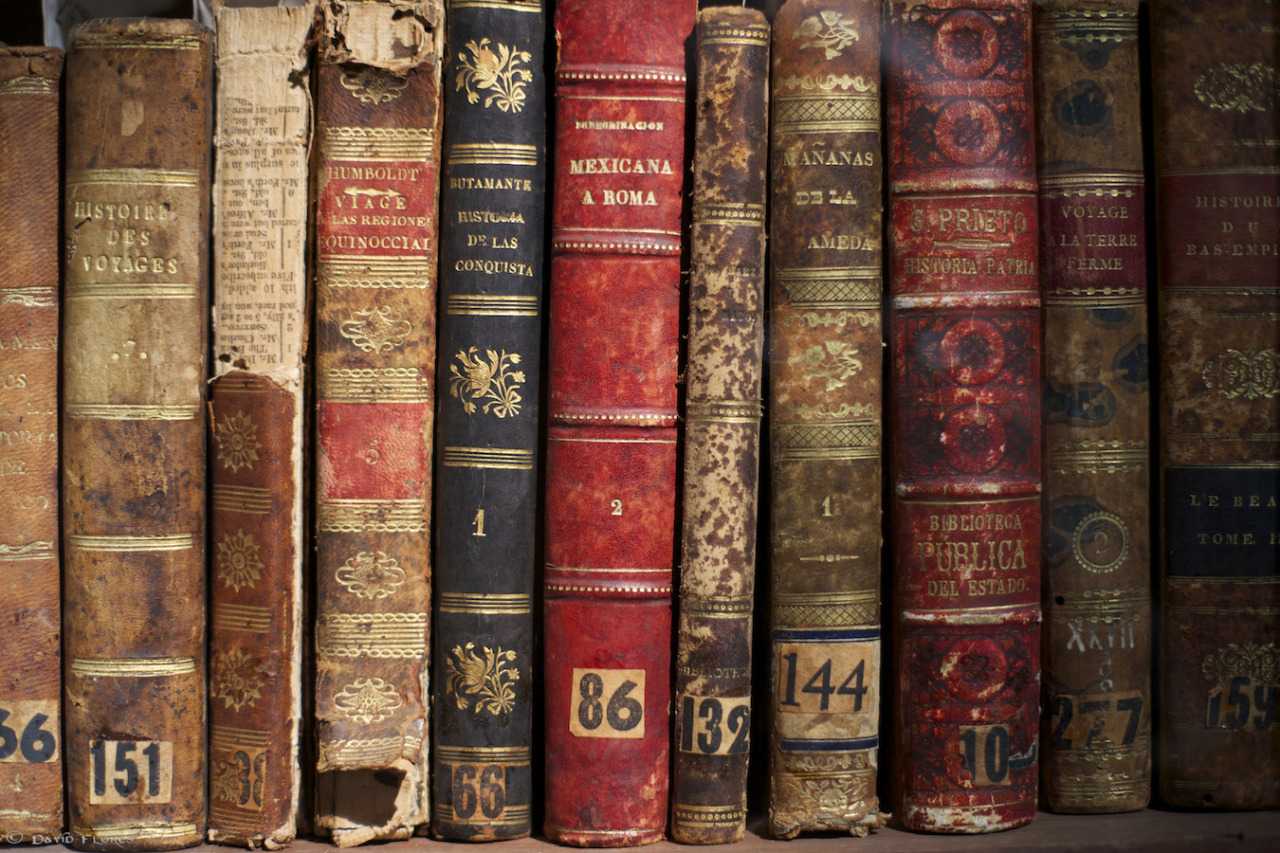 naughtysoutherngirl1980:  jassiepassievruchtmoodboard:  Books and libraries It just
