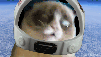 funny-gif-1:  Other Funny Gİfs http://funny-gif-1.tumblr.com/