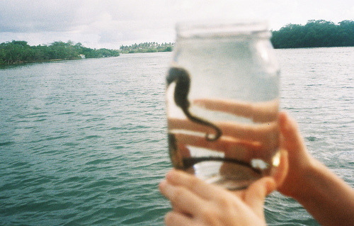 Take my hand, take my whole life too.