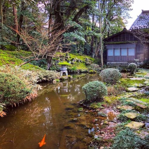 ＼おにわさん更新情報／ ‪[ 石川県金沢市 ] 心蓮社庭園 Shinren-sha Temple Garden, Kanazawa, Ishikawa の写真・記事を更新しました。 ―― #重伝建 『