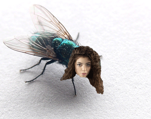 ladyhec8:  lorde of the flies 