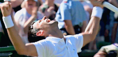 gif-set-match: Novak Djokovic celebrates winning his 4th Wimbledon title and 13th slam overall, defe