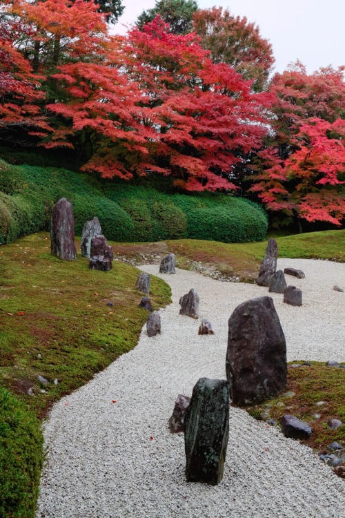 sazanami-ayame: 【京都紅葉旅行】 東福寺塔頭・光明院。ここもいかにも枯山水らしい庭園だ。 2013.11.24