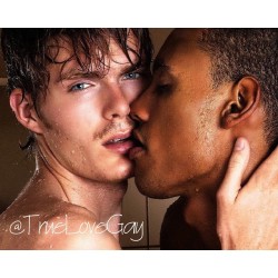 True Love Gay ~ Love Is Love