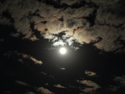 dcci:The Bluest Brightest Moon Upstate NY | July 2015Images shot by me (dcci) with a FujiX20Ful