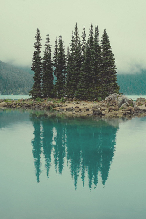 Wild Earth