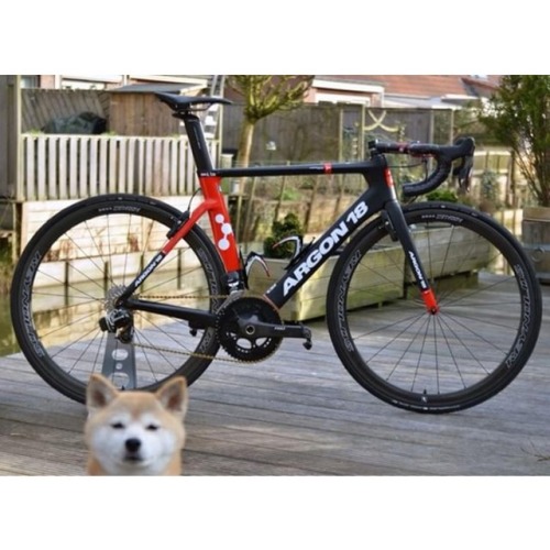 slamthatstem: Andy’s argon 18 is tight. But his doggo is all like . +1 for the gold chain. #slamthat