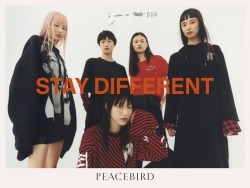 voulx:Peacebird Women 2017