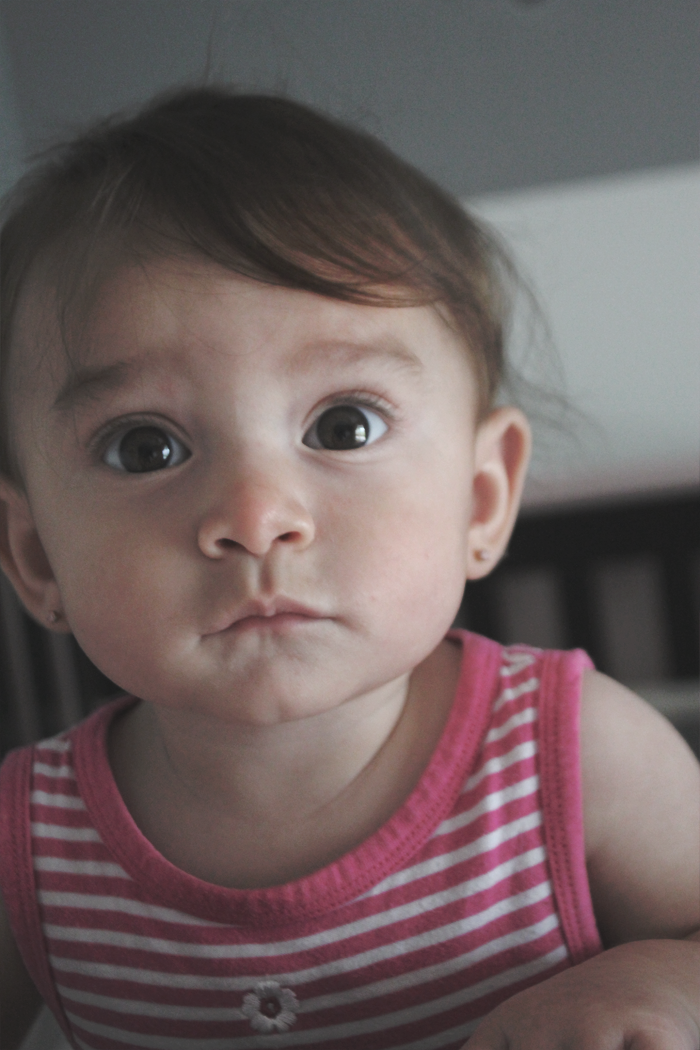 parkingstrange:  indianerd:  parkingstrange:  Charlie will grow up to be the most