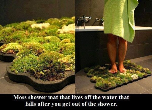 blissfully-zen:  darklittlefairy:  veganmovement2012:  Moss shower mat  I want this so bad                    