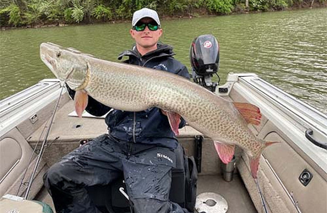 West Virginia Angler Reels in Record Musky
Posted by TBC Press on 05/17/21  A West Virginia angler caught a state record muskellunge on April 30 in Braxton County. Chase Gibson of Mount Clare, WV, caught a 54.0625-inch, 39.64-pound musky at Burnsville Lake, breaking the previous record for length (53.5 inches) held by Joe Wilfong since 2017. Anna Marsh maintains the record for weight with a 49.75-pound musky caught at Stonecoal Lake in 1997. Anglers who believe they may have caught a state record fish should... READ MORE #fishing#fishing news#outdoors#outdoor news#outdoor sports#sportfishing#freshwater fishing#muskie fishing #WV fishing news  #WV muskie fishing  #WV musky fishing #musky fishing
