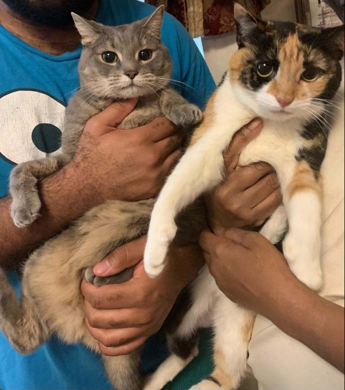 This Is My Favorite Picture Of Nyla & Buttercup Together