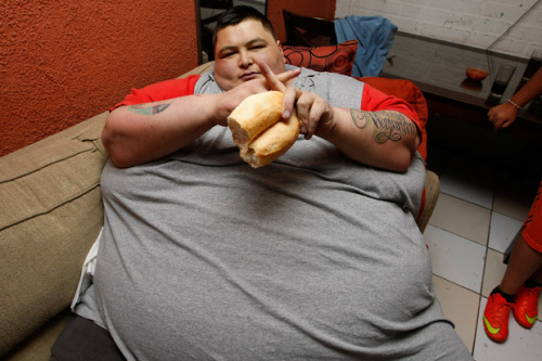 fatmalefantasy:  400kg man. 