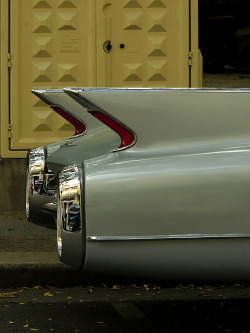 silver-frog:  Ma Cadillac,  j’en ai ma claque.Top Gun.