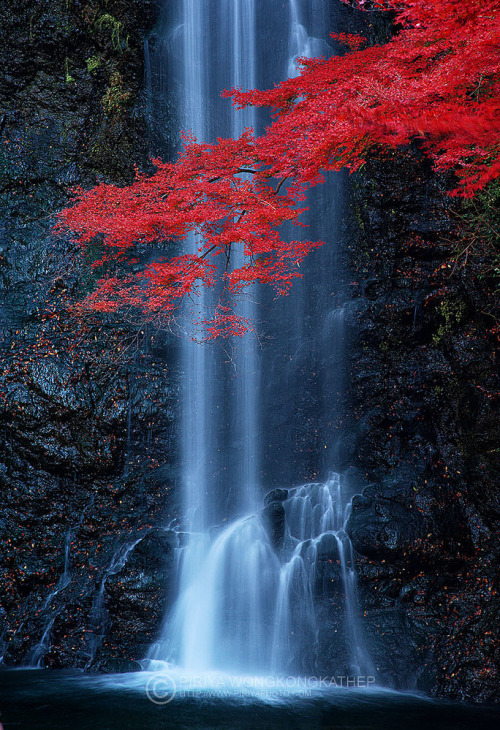 coiour-my-world:Red Dragon | Minoh Waterfall near Osaka