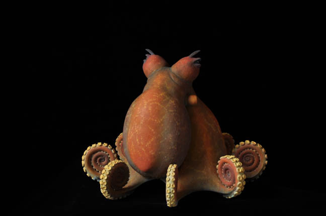 staceythinx:  Amazing octopus sculptures by Judy Fox 