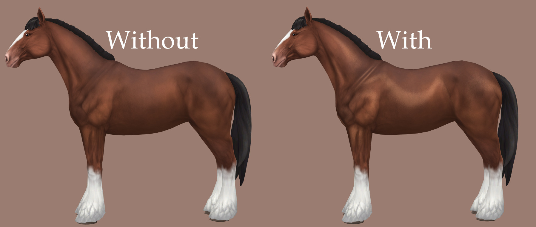 A preview of a horse with and without the coat shine stencil