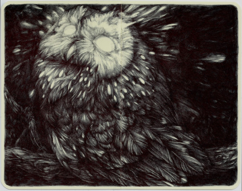 lohrien:  Illustrations by Marco Mazzoni on tumblr