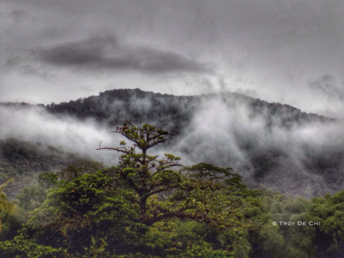 theeyeoftroy:Tucker Valley Chaguaramas, Trinidad. Copyright 2017 Troy De Chi. All rights reserved.