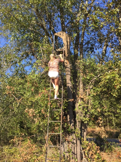 thebambinogirl:  I forgot my seat cushion in my stand this morning so after Daddy changed my diaper on the tailgate of the truck, he made me walk to my stand and climb up in it and get my seat cushion in just my shirt and diaper! No pants were allowed.