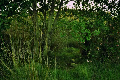 mishka-the-snufkin: My little nest in the middle of nowhere :) I spent the whole evening talking wit