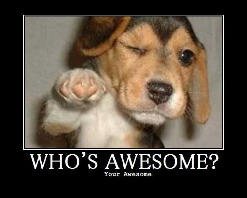 100 followers!Some point in the last week I passed 100 followers without even realizing it. That’s a