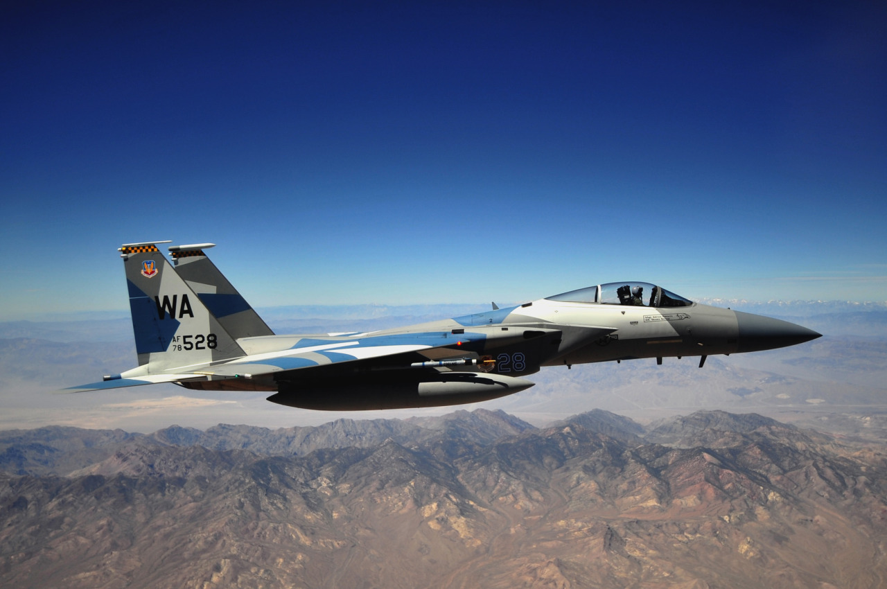 rocketumbl:  F-15 Aggressor 