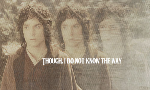 buckying:  lotr meme: six quotes [2/6]  