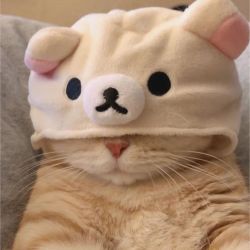 reald0pe: