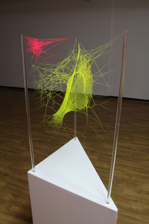Anthony Michael Simon - Spiderwebs