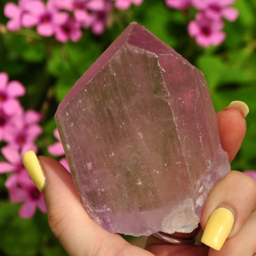 geologyrocksandminerals:They call Kunzite the “Woman’s Stone” as it is believed to