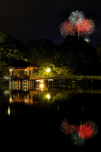 ileftmyheartintokyo:奈良公園バースデー花火 by shin’s eyes on Flickr.