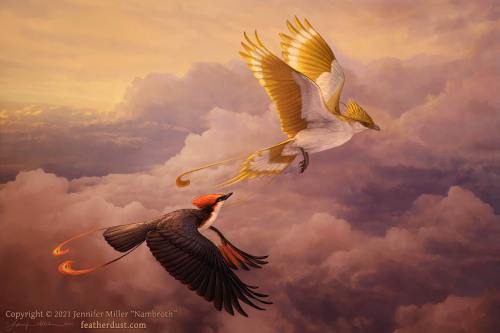 “Alpenglow”, phoenixes/fantasy birds, a gift for my husband of our characters. Digitally painted in 