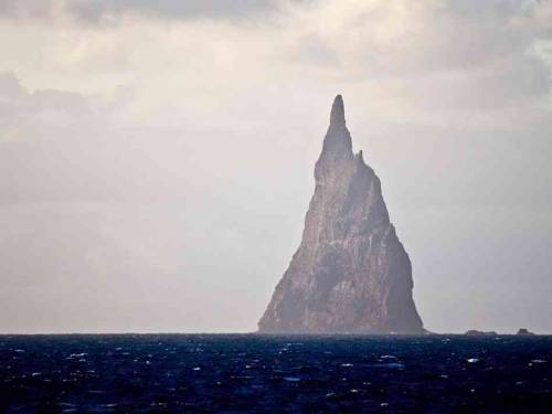 Lord Howe Island Stick Insect (Dryococelus australis) Ball’s Pyramid is a narrow, jagged island off the coast of Australia, slicing half a kilometre into the air. The remains of a volcano, it sits roughly 23 km from Lord Howe Island, where once