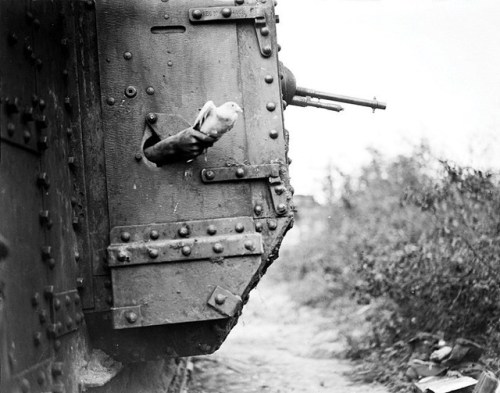 vintageoculus:Carrier pigeon being released from a tank during World War I (1918).