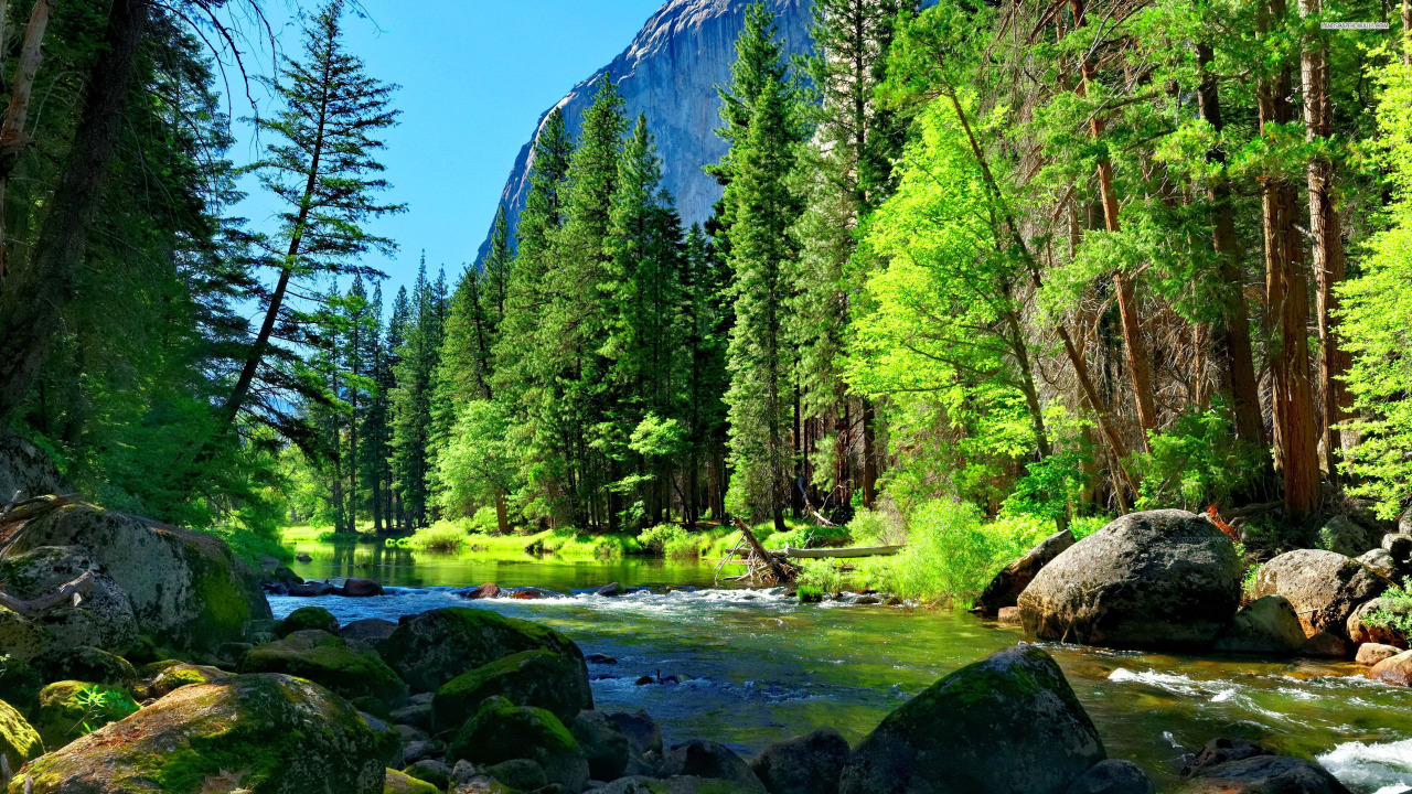Mountain man owns city girl...