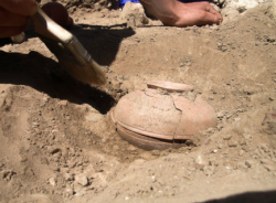 actuallythomyorke: maliwanhellfires:  cassandrashipsit:  sixpenceee:  An archaeological dig on the Menemonee Reservation in Wisconsin yielded a clay pot. The pot was dated to 800 years ago and contained seeds. Some of the seeds were planted to see if