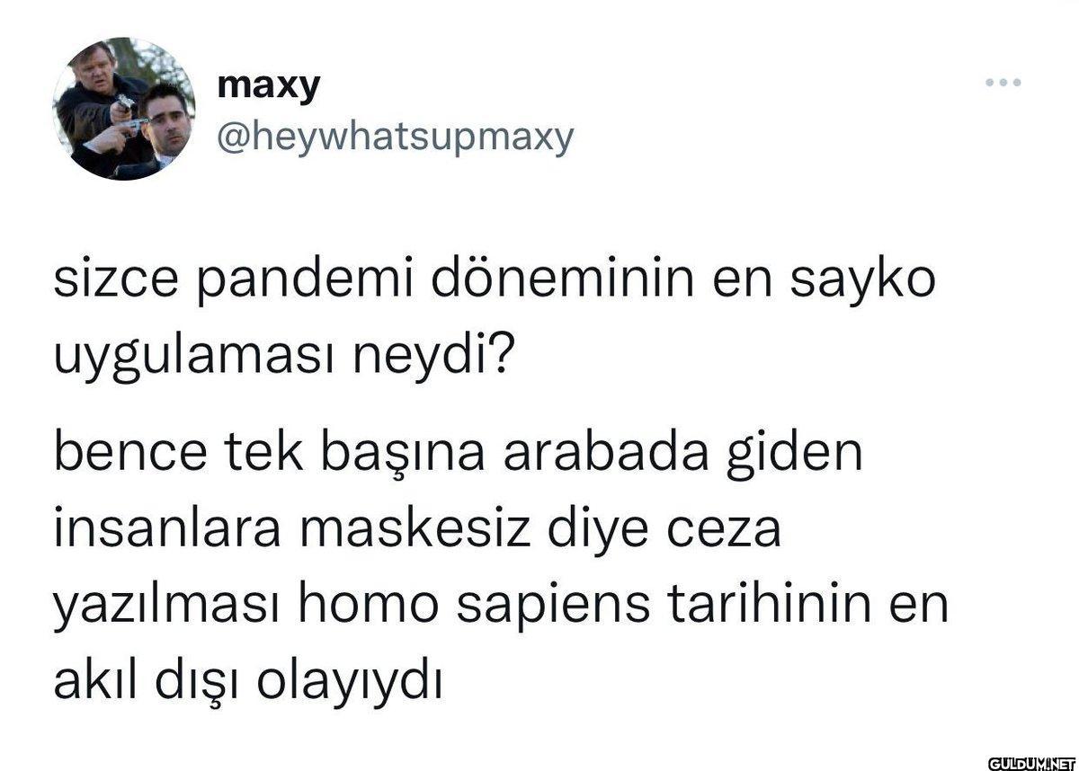 menşınlayalım     maxy...