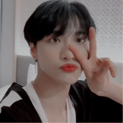 Park Seonghwa Icons