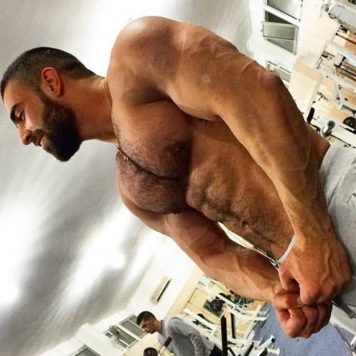 stratisxx:Who would say no, to getting fucked, by this Arab stud?