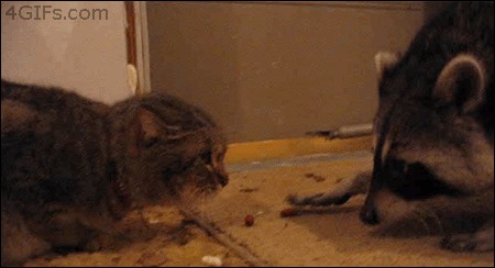 hidralisco:  I… I’ll take this one ok?