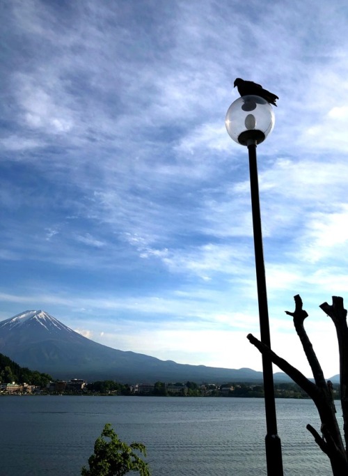 kobaltfoto: Fujisan 富士山 (Mount Fuji)- Fujikawaguchiko by kobalt