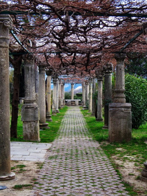 Roman ruins at Salona / Croatia (by Abizeleth).