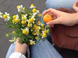 flowury:  We split a tangerine 