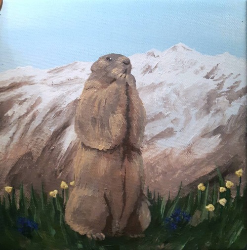 sora-ifuwant:  Cute marmot with some alpine flowers 🌼🌸🏵 Acrylic on Canvas. 20x20cm . . . . #alltheseillustrations #picame #socfeature #womenwithpencils #illustrateddoris #illustrationhowl #digitalart #ink #illustrationdaily #photoshopdrawing