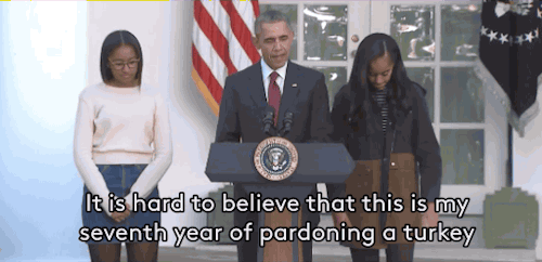 tepitome:Obama drops the dad joke of 2015.